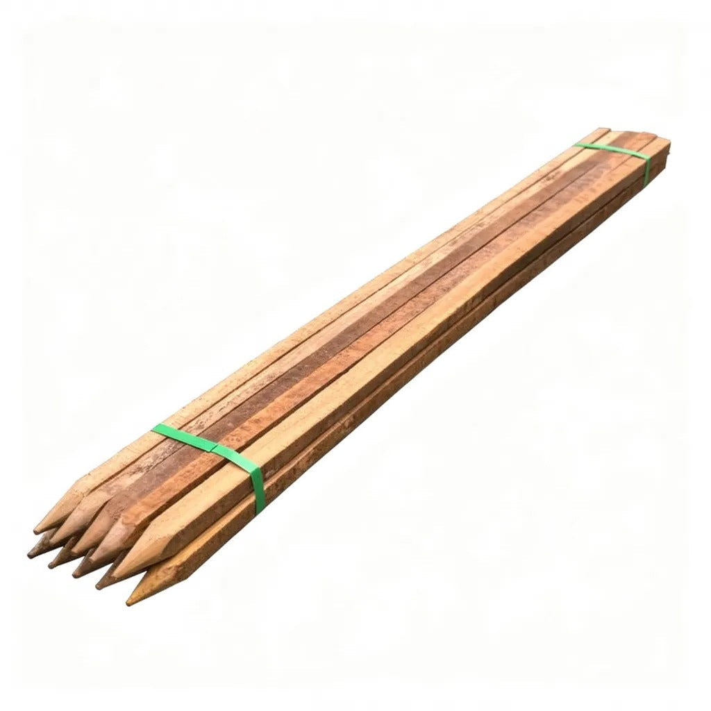Set of wooden stakes tied together with green string on a white background